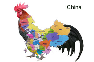 China Avian flu map