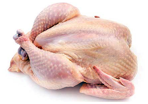 Chicken supplier delhi India