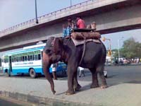 delhi2