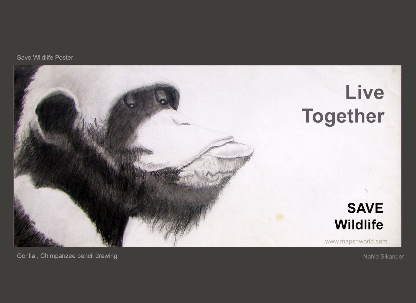 save wildlife