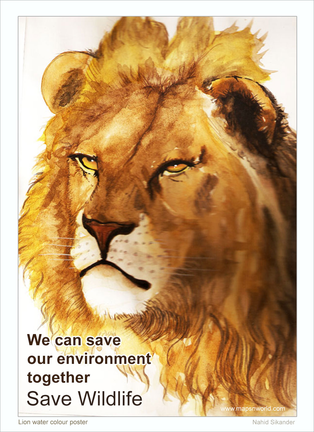 Save Lion