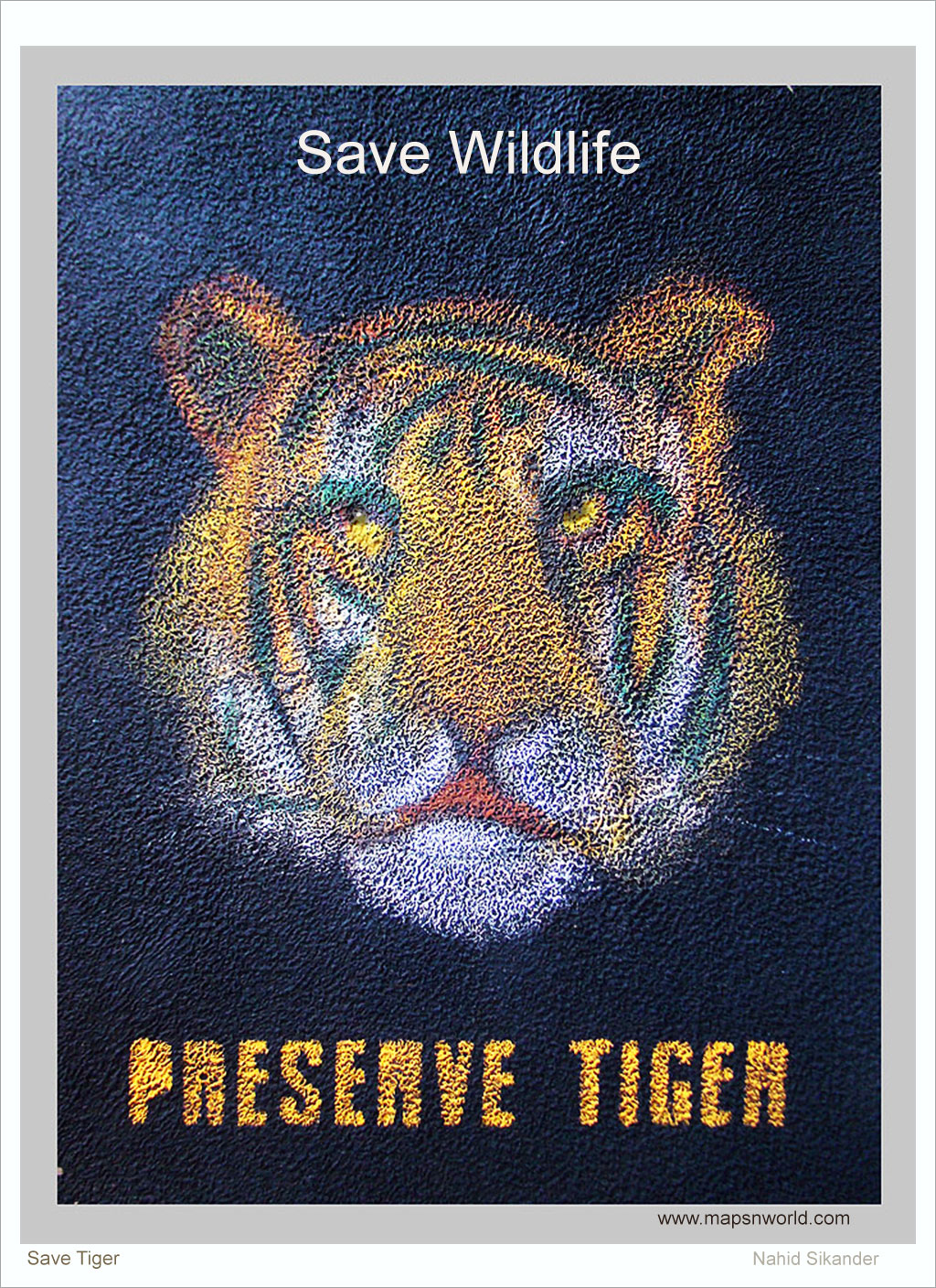 save tiger poster